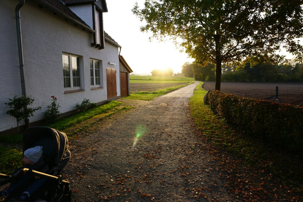 best strollers for rough roads